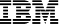 IBM India Private Limited